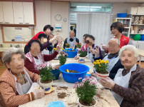 2025년 11월 인지 프로그램 - 원예 활동( 화초 심기)